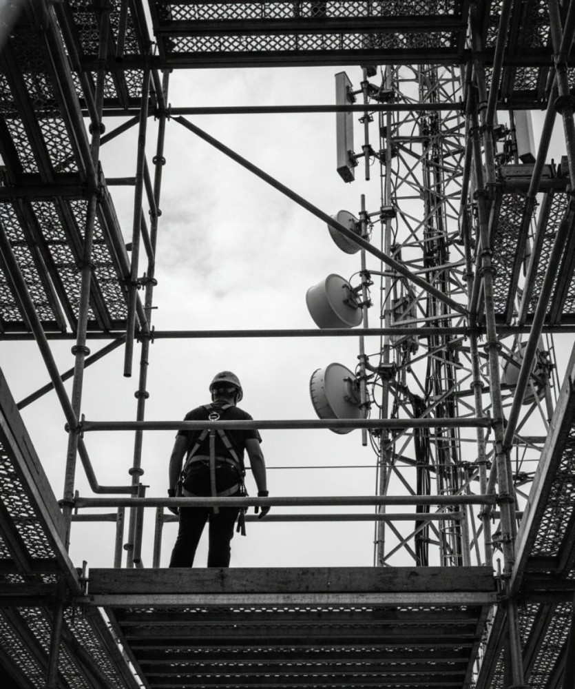 Contenido del artículo