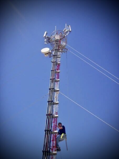 Contenido del artículo