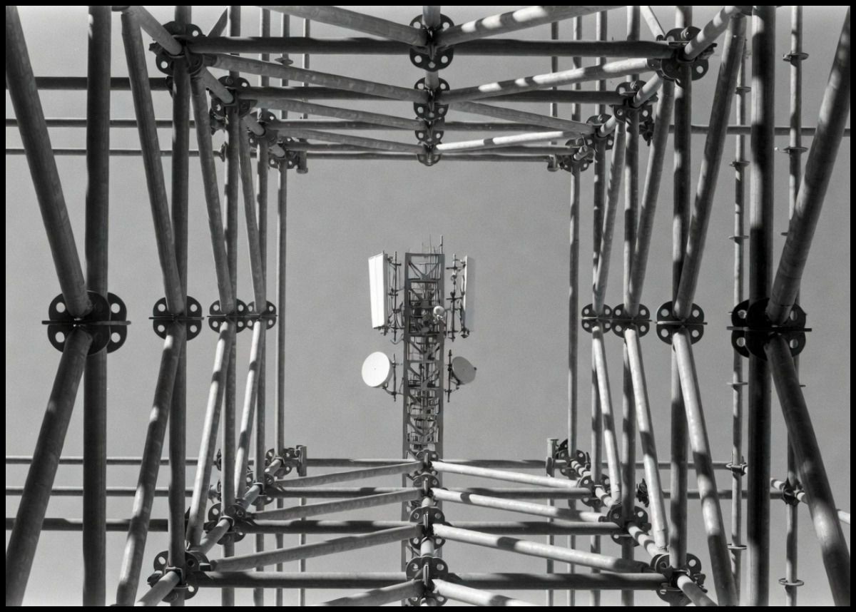 Contenido del artículo